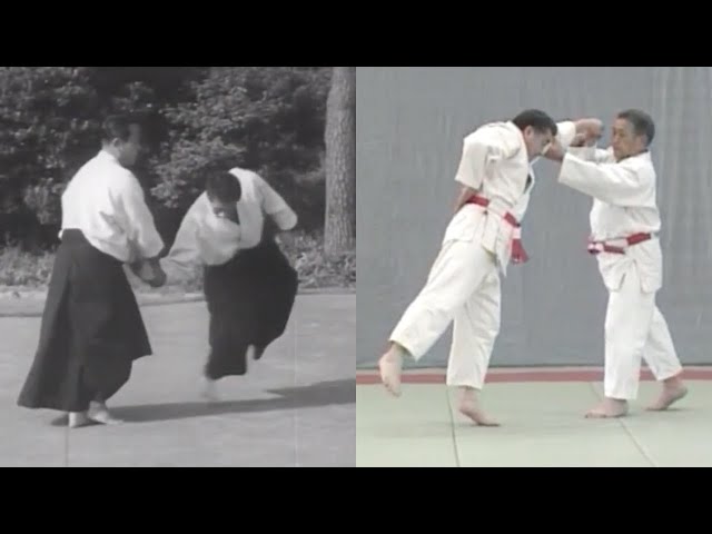 The most important and ignored principle in judo and aikido