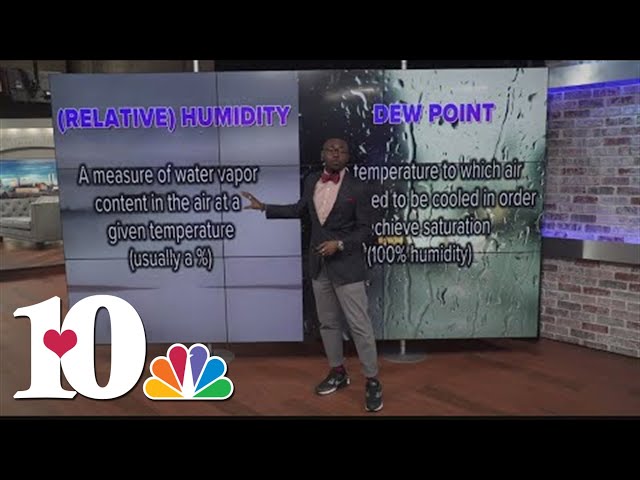 Weather Wednesday: What is dew point versus humidity?