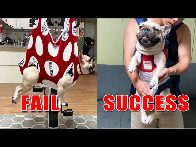 FINALLY I Can Trim My French Bulldog's Nails | Best Dog Nail Hack 😮