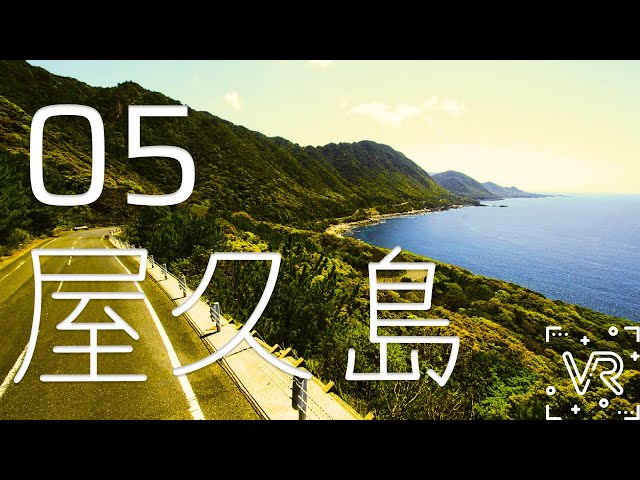 Yakushima: Drive 5 [屋久島🚙] 5K 360° VR