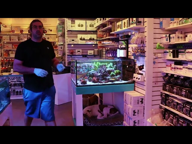 All Of Our Stores Display Tanks Update