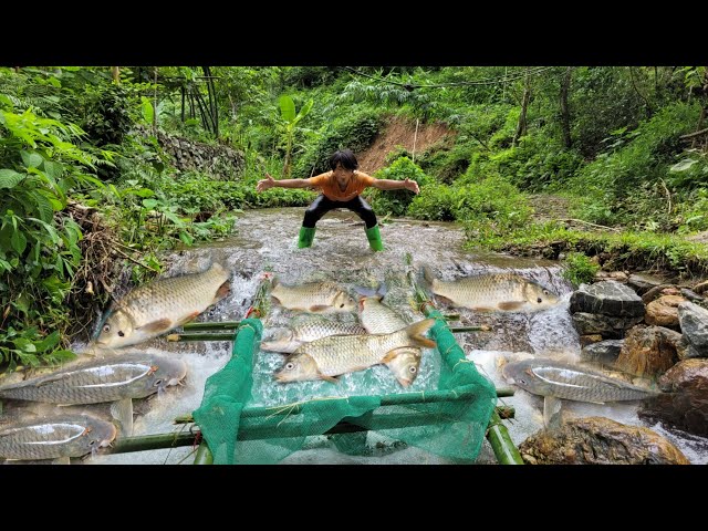 The boy Lam used nets and bamboo to make traps to catch fish in the stream. | wandering boy