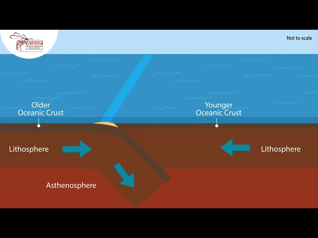 Convergence (oceanic crust)