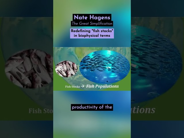 Redefining "fish stocks" in biophysical terms. An excerpt from my 2023 Earth Day talk.