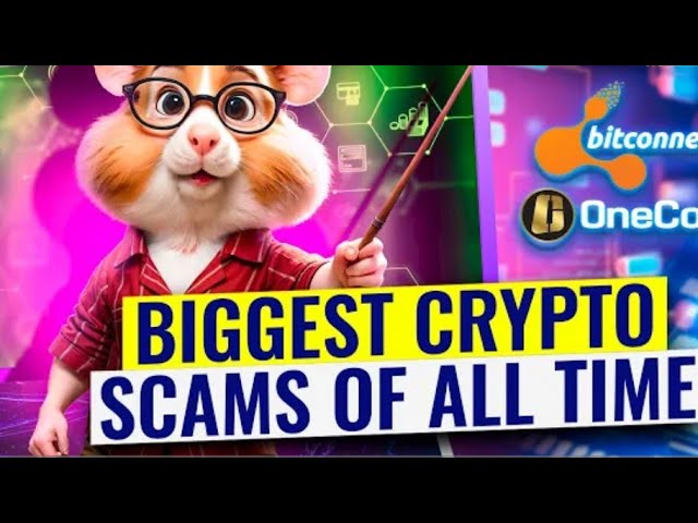 The Truth AboutOneCoin & BitConnect Hamster Kombat