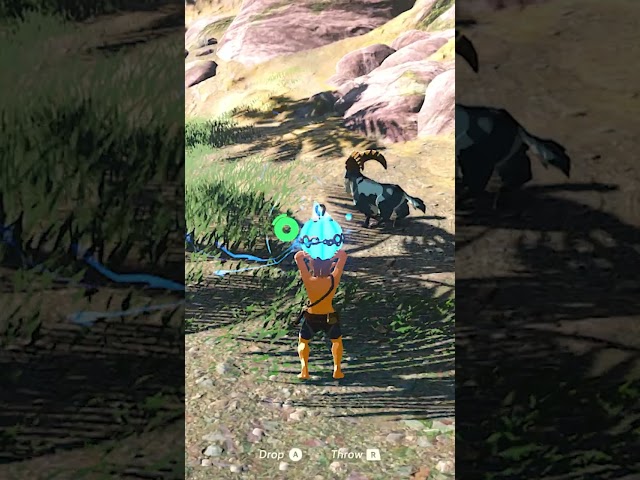 BOTW but the enemies are GOATED (pt.2)