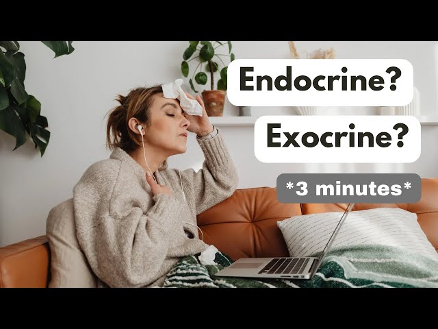 Differences between Exocrine and Endocrine Glands
