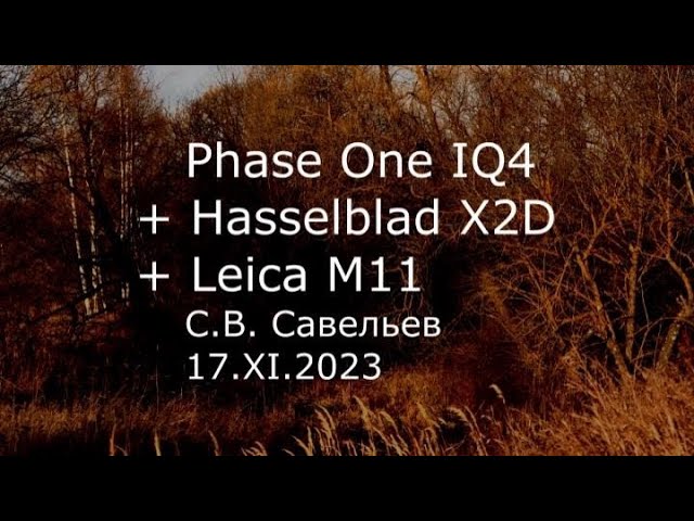 С.В. Савельев - Phase One IQ4 + Hasselblad X2D + Leica M11