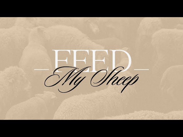 Feed My Sheep | John 21:1-25 | Pastor Mike Wiggins