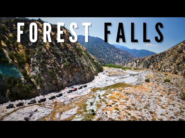 Forest Falls Jeep Adventure