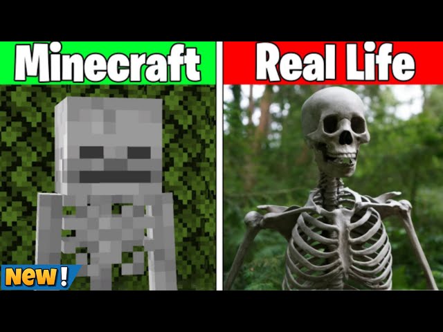 minecraft vs real life!