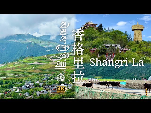 Shangri-La: Leere deine Seele😌Berg🏔Tempel⛩Weiße Pagode🛕Gebetsmühle🙏Grasland🌿Yak