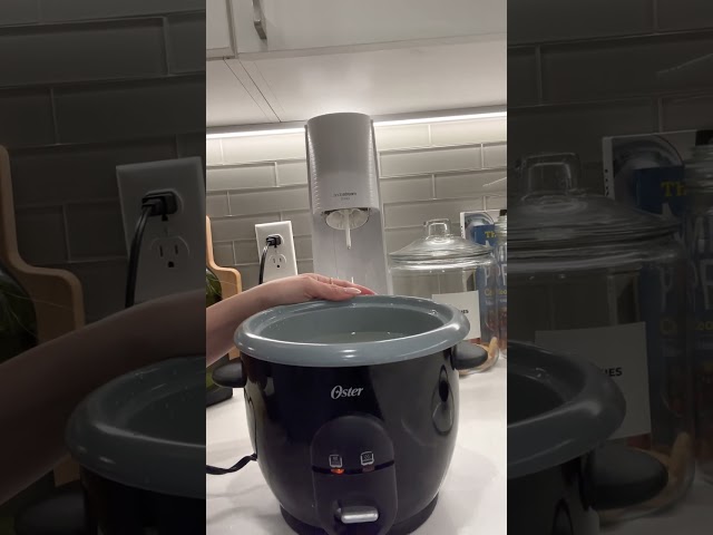 Honest Review of Oster Rice Cooker