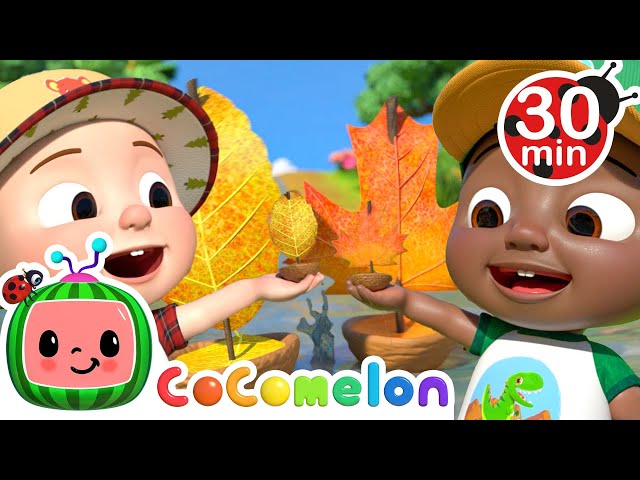 Row Row Row Your Boat + More! | CoComelon - It's Cody Time | CoComelon Kids Songs & Nursery Rhymes