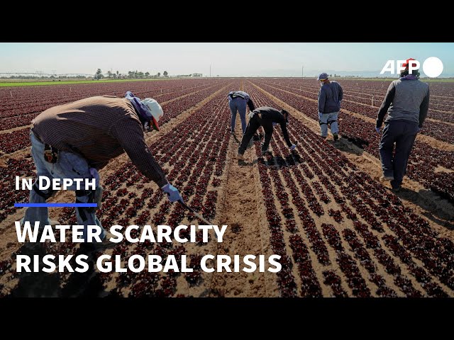 Water is essential for life, but scarcity threatens global crisis | AFP