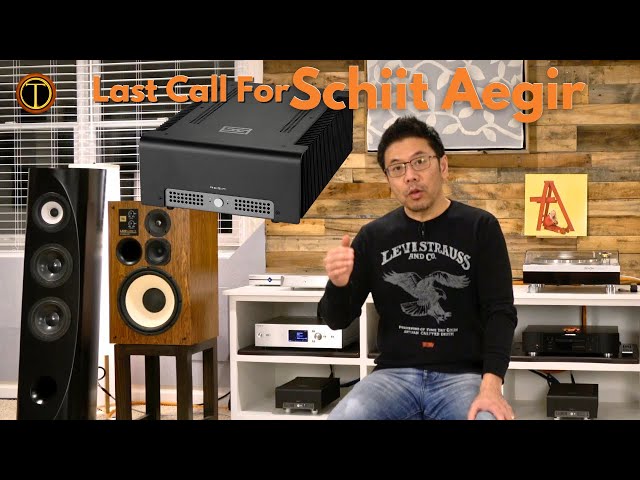 Schiit Audio Aegir Mono Amps Review