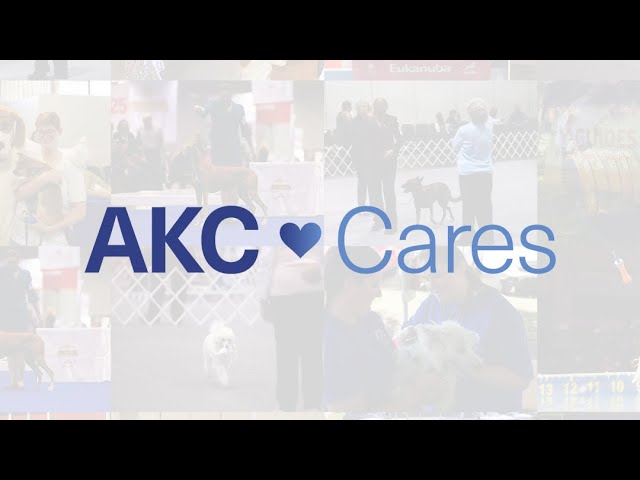 AKC Cares