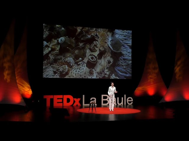 A tree has the power to unite the world | Rachel Marks | TEDxLaBaule