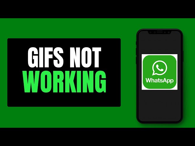 How to Fix WhatsApp Gif Not Sending or Not Loading Problem | Unable to Send Gif On WhatsApp