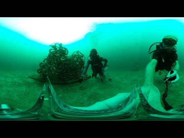 Gathering lionfish