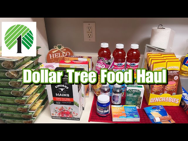 *NEW* DOLLAR TREE FOOD HAUL | NAME BRAND ITEMS ! VLOGTOBER DAY 6