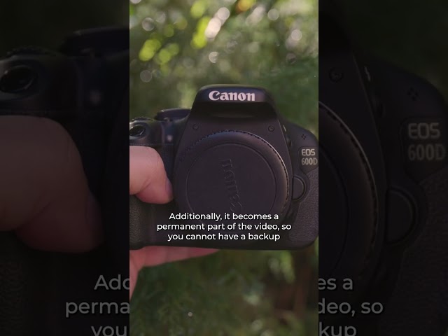 Do They Have IBIS? Canon 600D (T3i) vs 2000D (T7)