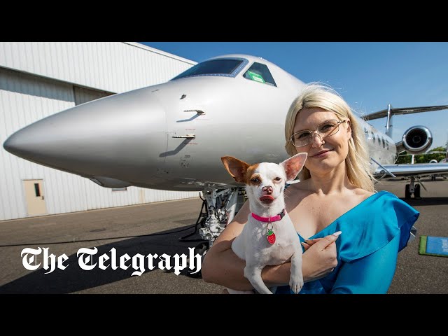 'Dog-first' airline Bark Air takes off for maiden flight across the US