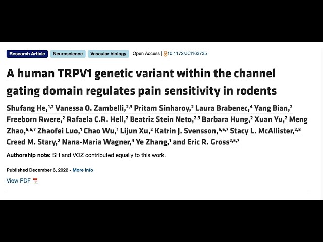 Medical News/ FLASHWORDS- TRPV1 variant within the channel gating domain regulates pain sensitivity