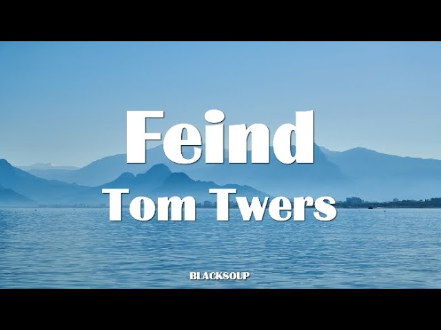 Tom Twers - Feind Lyrics