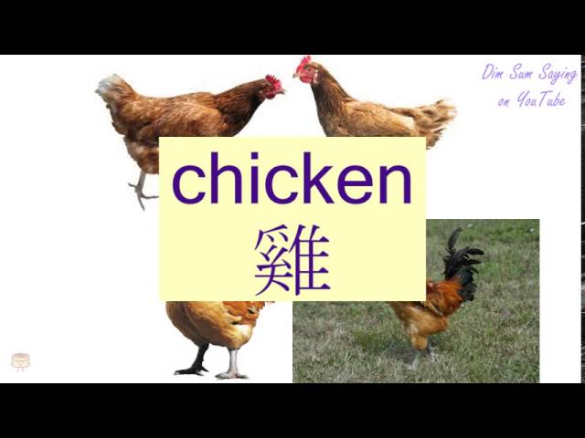 "CHICKEN" in Cantonese (雞) - Flashcard