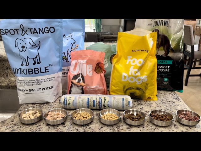 Premium Dog Food Mixing | Lagotto Romagnolo