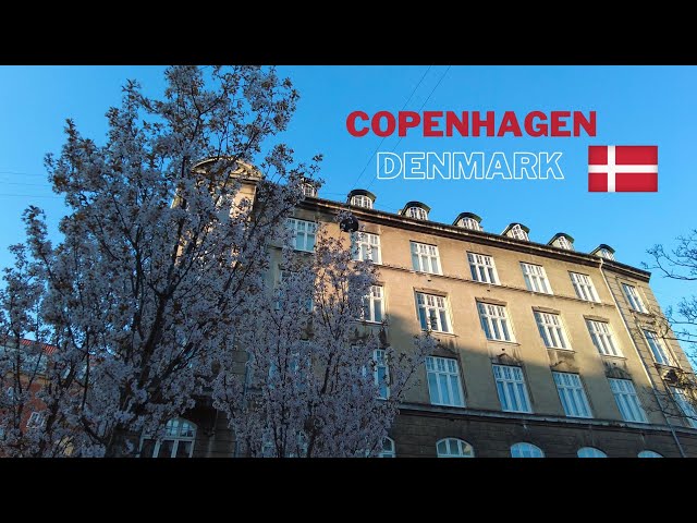 Exploring The Entirety Of Østerbrogade In Copenhagen Denmark 4K 60FPS