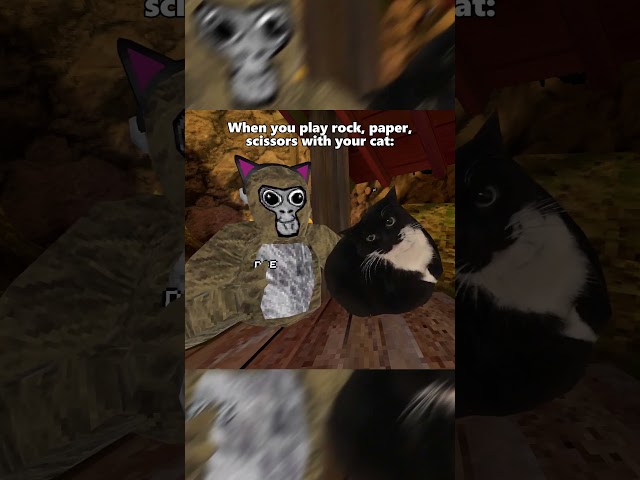 Don't Play Rock Papers Scissors with Your Cat 😭 #gorillatag #gorillatagvr #gtag #vr #oculus #gaming
