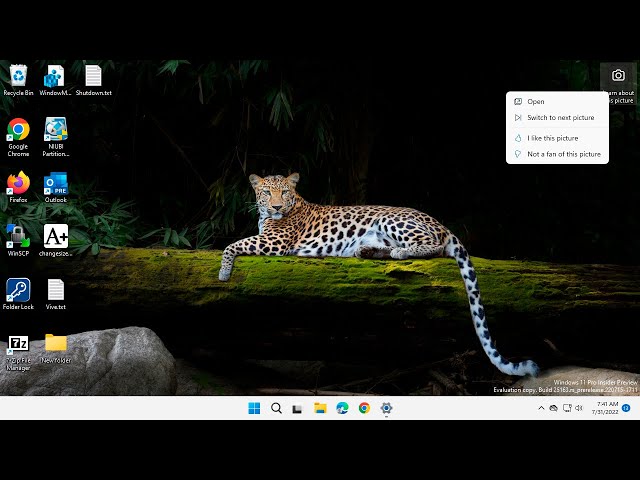 The New Windows 11 Windows Spotlight Desktop Background Theme