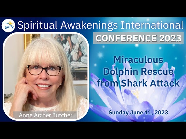 Miraculous Dolphin Rescue from Shark Attack!  A Mystical STE!  Anne Archer Butcher