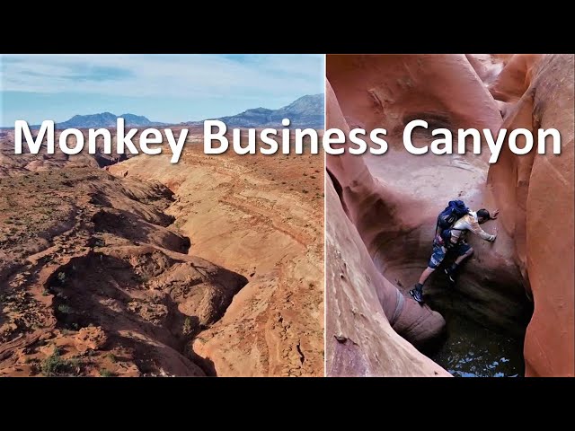 Monkey Business canyon, North Wash, Utah