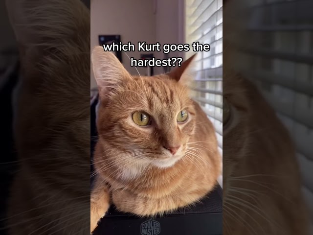 Kurt, the cat of many personalities.