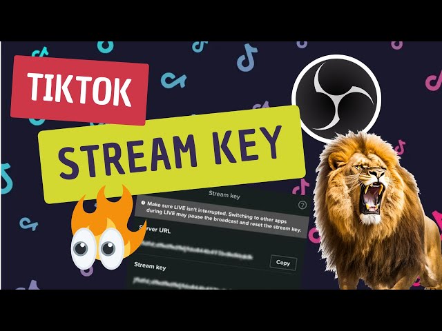TikTok Stream Key in OBS Studio Einrichten 2024
