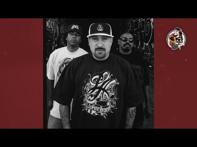 [FREE] Freestyle 90s Boom Bap CYPRESS HILL x Old School Hip-Hop type beat - "WITNESS" [2024]