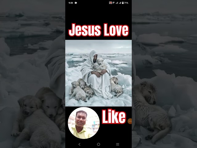 God Jesus Animals Loves! #viral #funny #love #reels #jesus #viralvideo