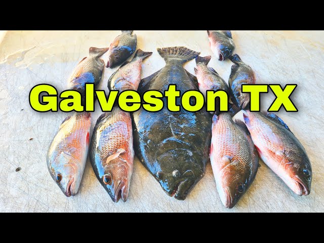 Fishing for Inshore Snapper | Fishing Galveston Texas