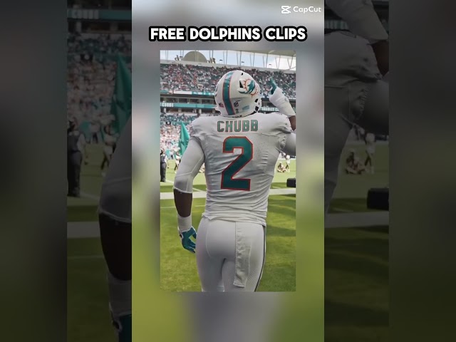 Free dolphins clips