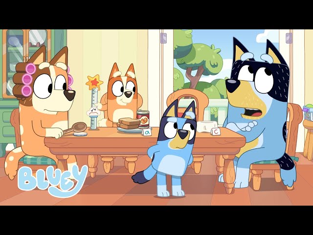Who Fluffied? | Family Meeting - Series 3 | Bluey