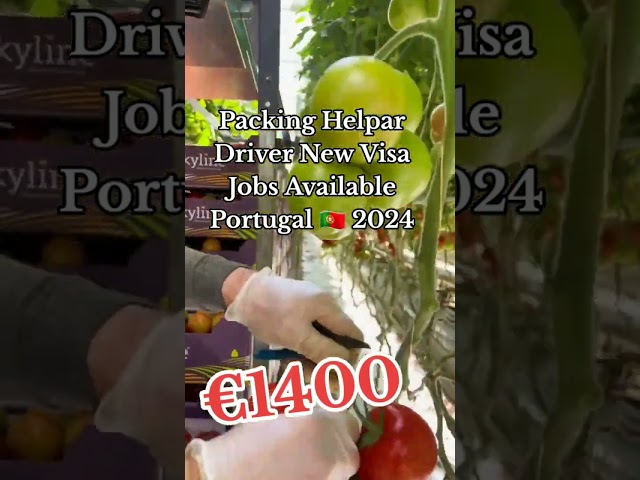 পর্তুগালে ওয়ার্ক পার্মিট পাওয়ার উপায় | How to Get a Portugal work Visa | #workpermitvisa #portugal