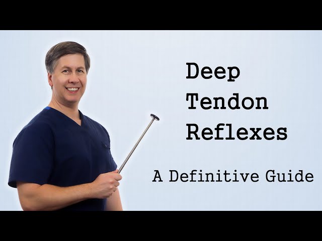 Deep Tendon Reflexes - A Definitive Guide