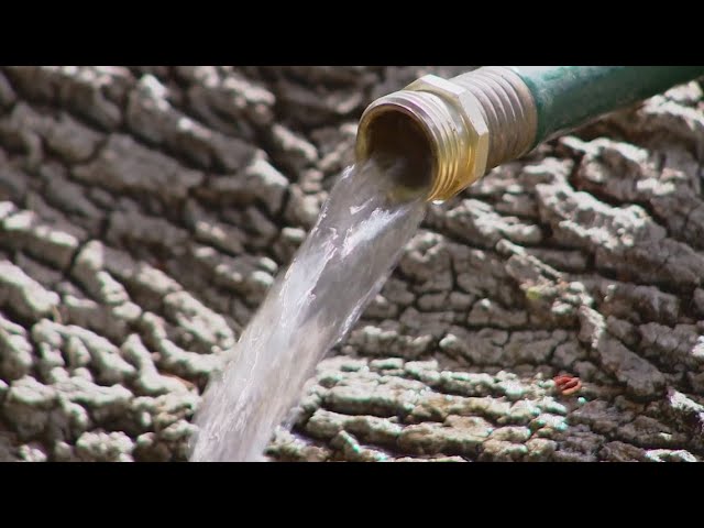 San Antonio City Council approved proposal from SAWS over watering issues