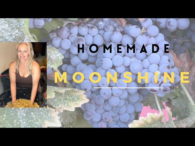 HOW TO MAKE MOONSHINE AT HOME - from grapes