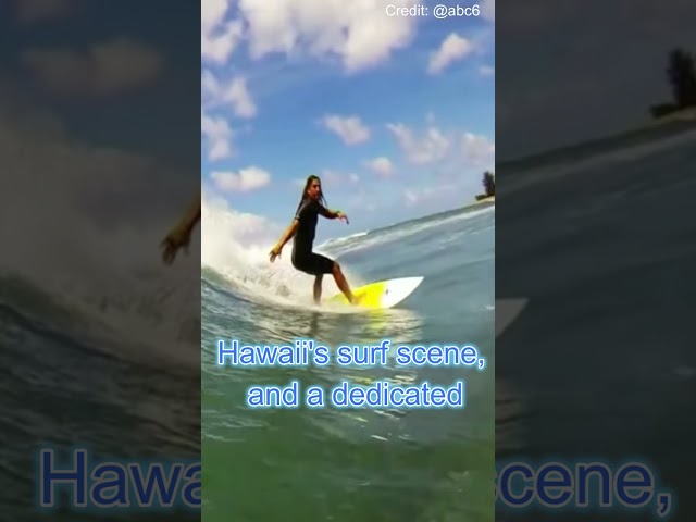 Famous Surfer Shark Attack Tragic Loss
