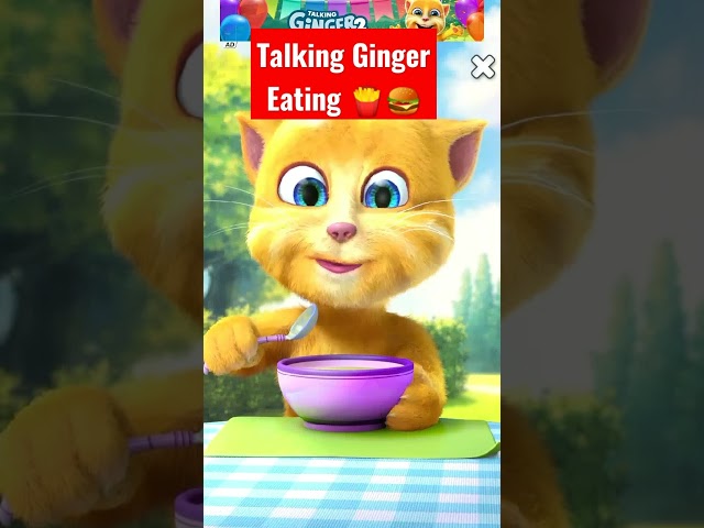 Talking Ginger Eating 🍟🍔