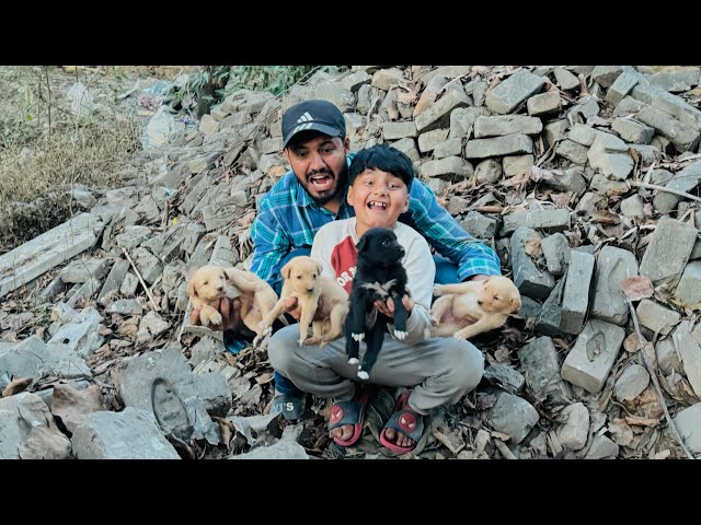 Bhotiya Jungle se Itny sary Cute puppies ko rescued kr leya 😱 ||